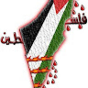 Meet your Posher, Wael